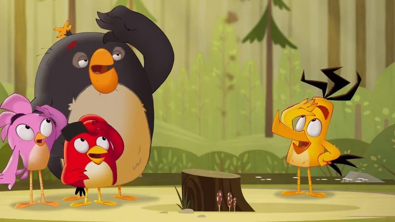 Angry Birds: Летнее безумие