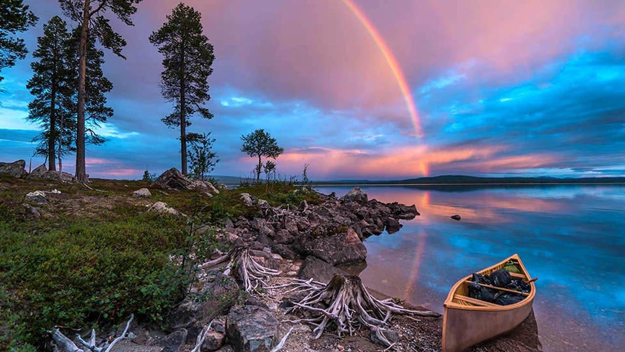 Дикая природа Скандинавии