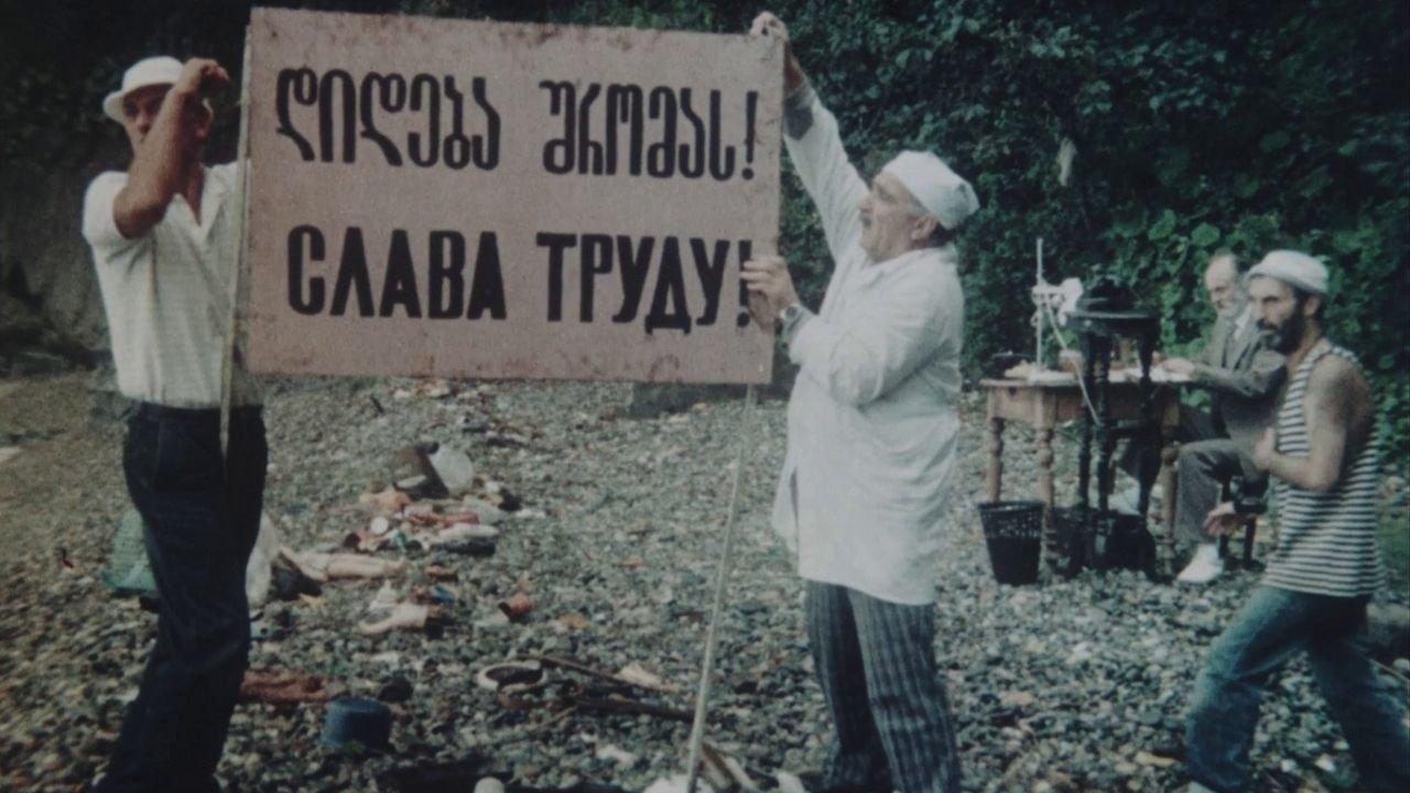 Ласточки и воробьи