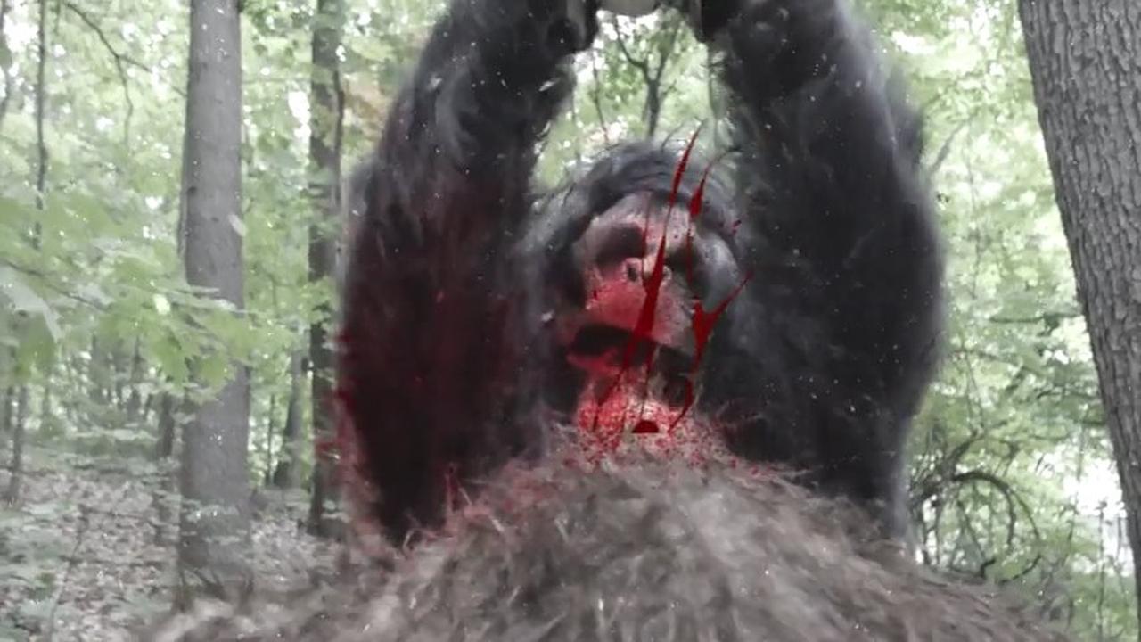 Снежный человек во льдах