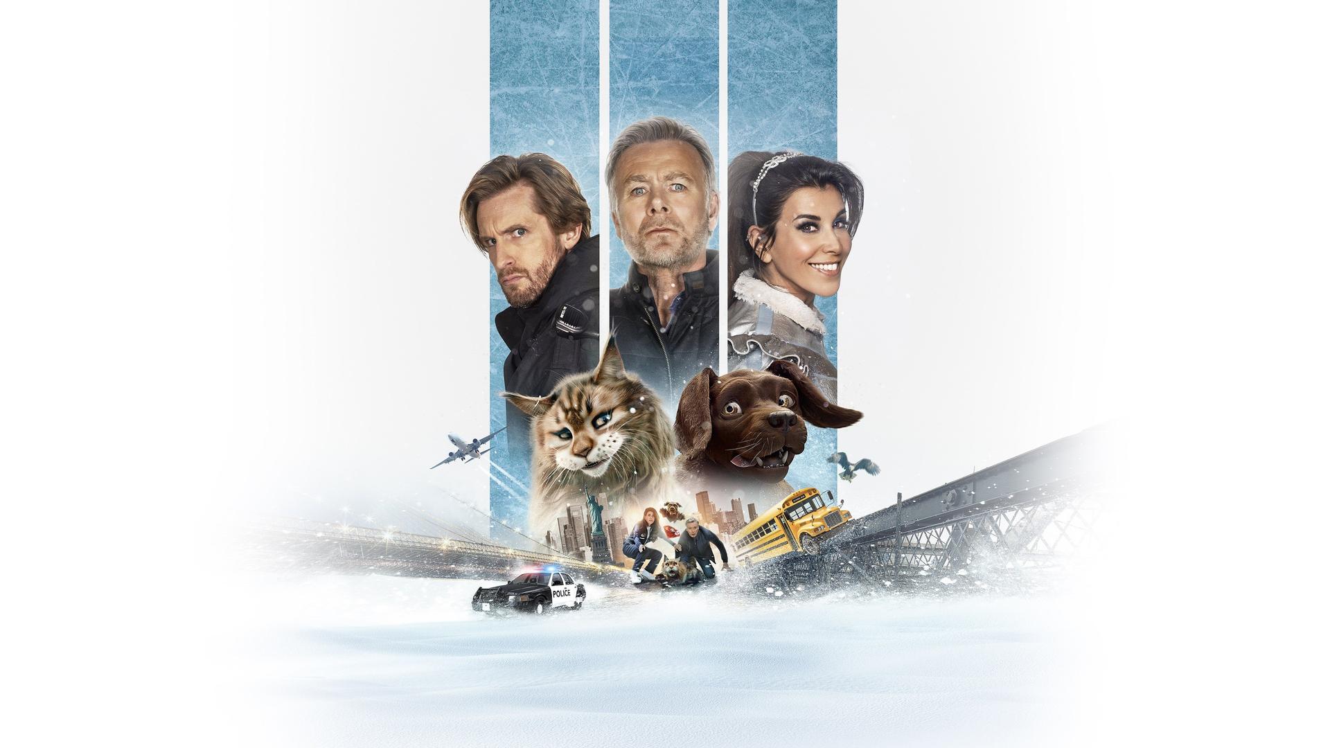 Кот и пёс