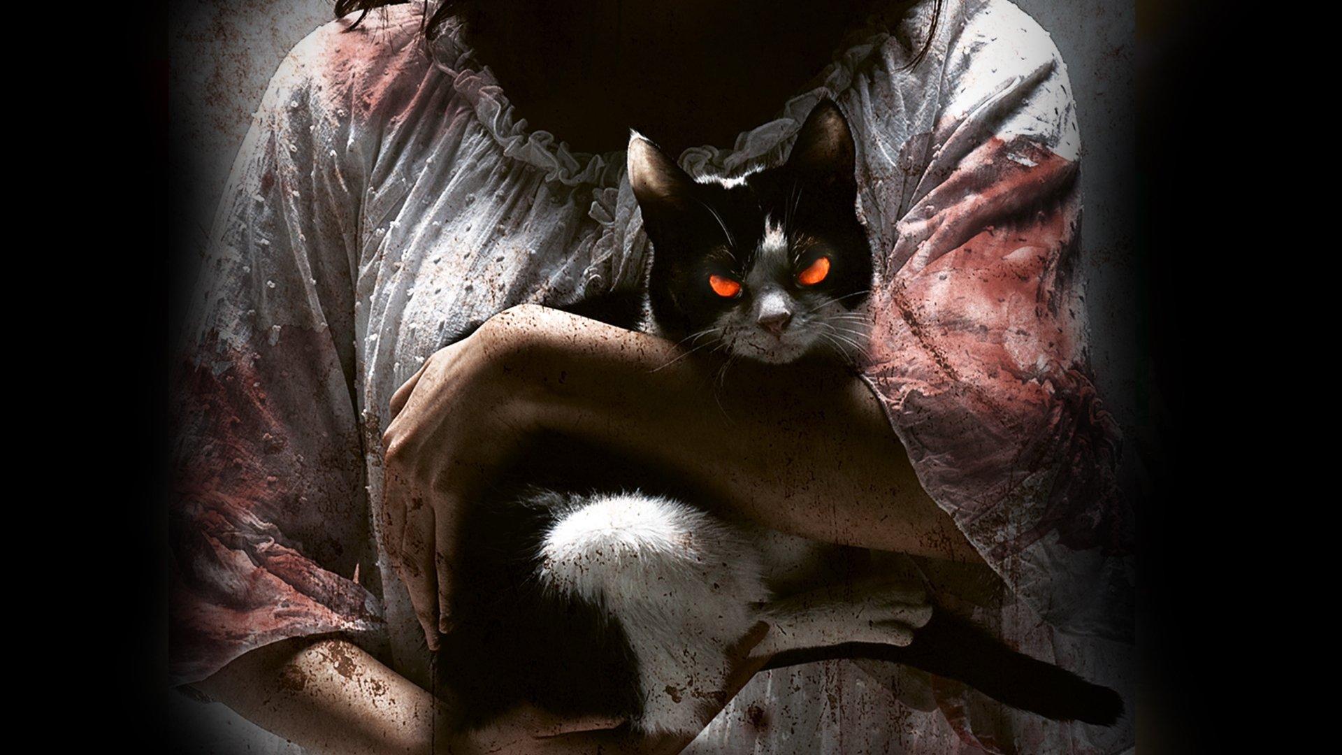 Кот: Глаза, которые видят смерть