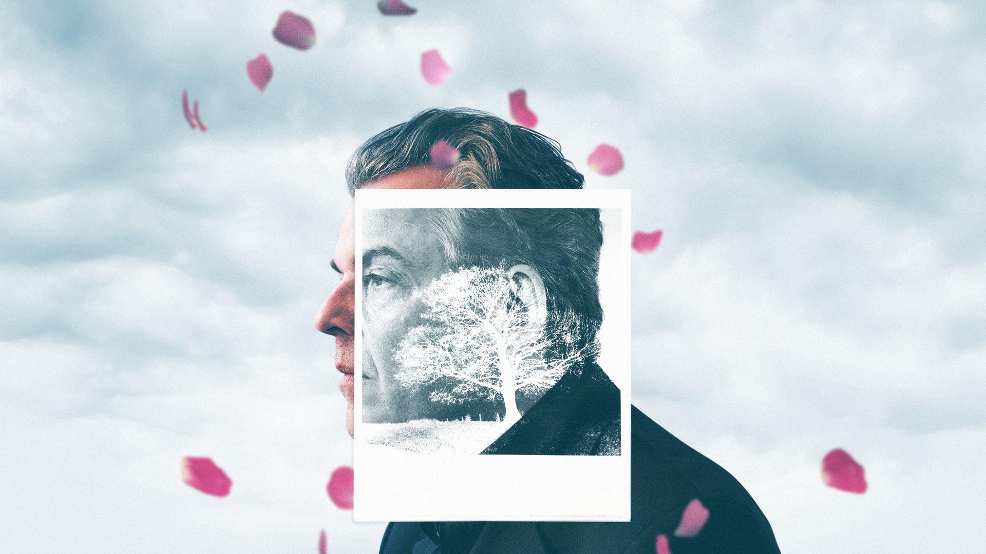 Последняя фотография