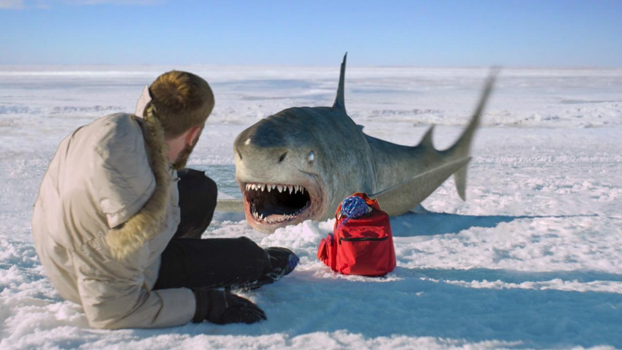 Ледяные акулы