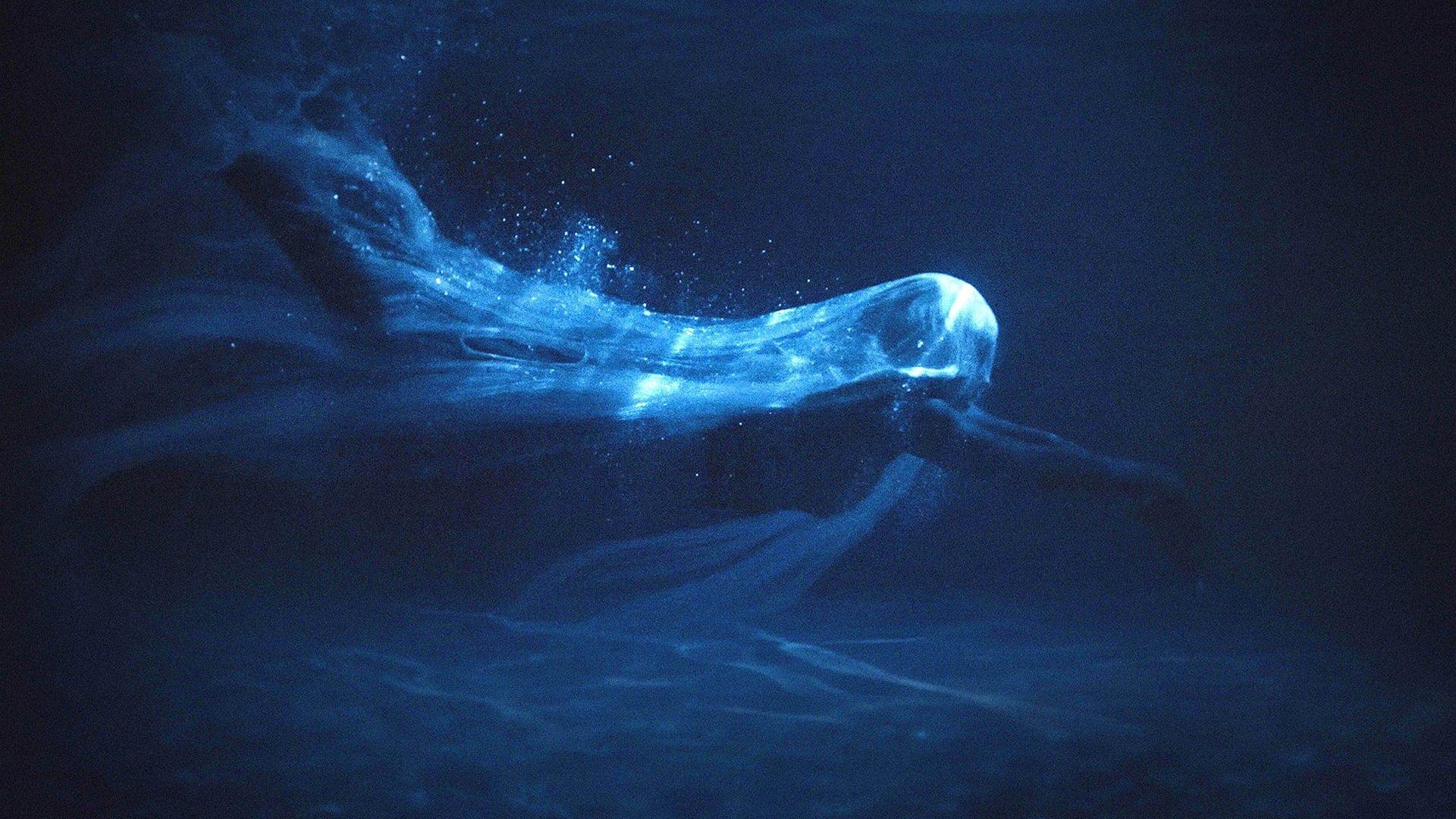Вода