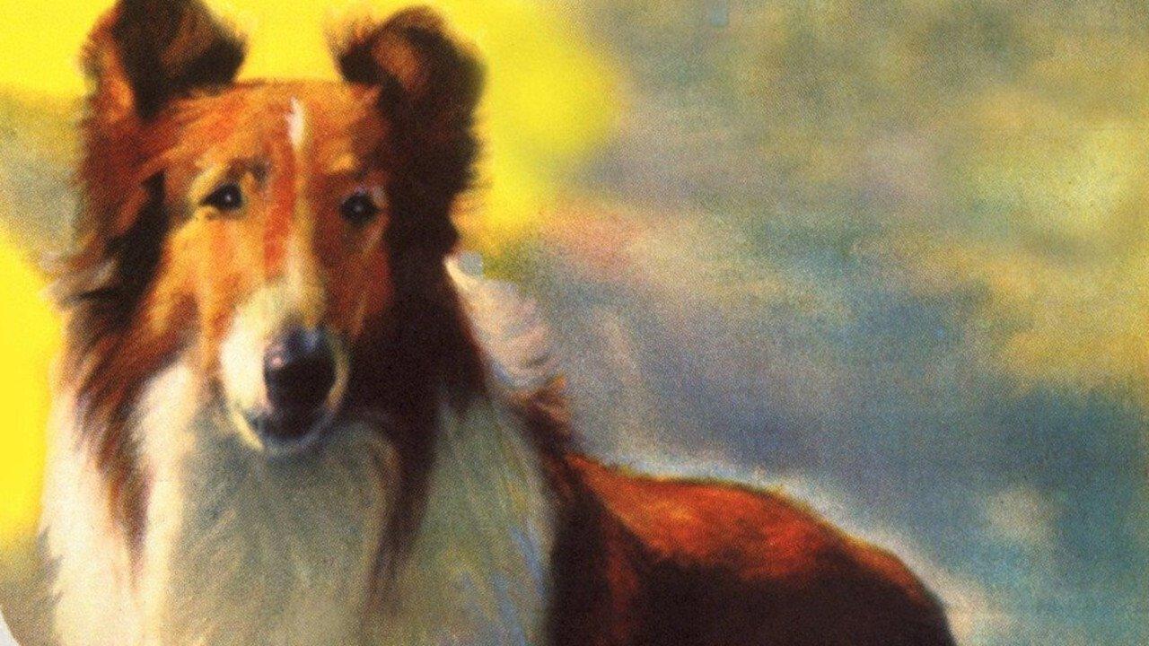 Лесси в разрисованных холмах