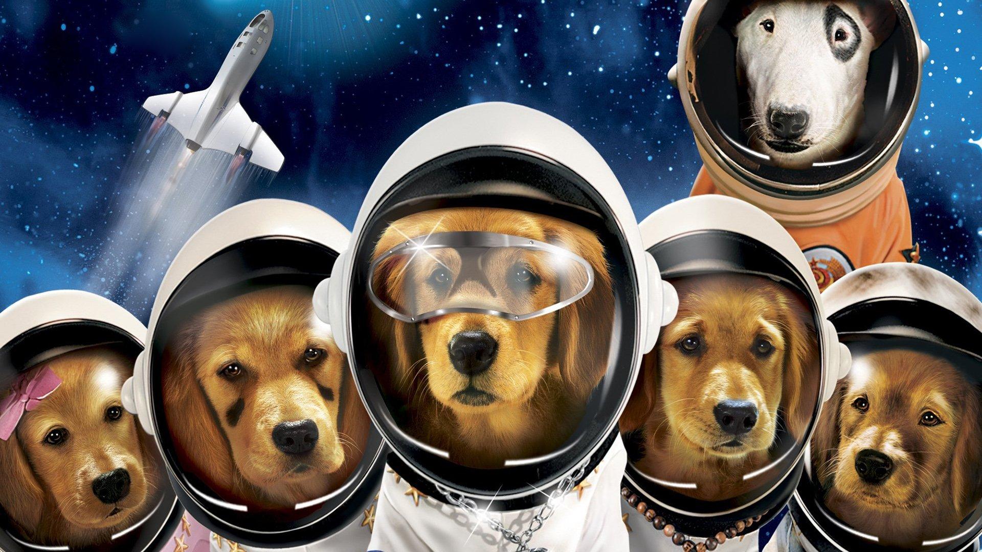Космические друзья