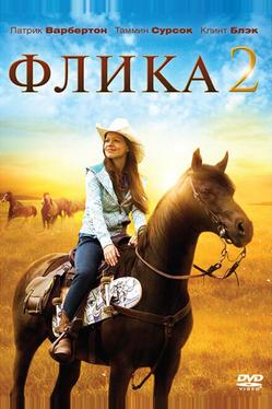 Флика 2