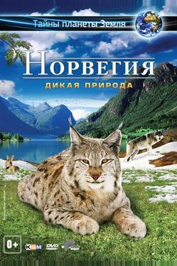 Норвегия 3D: Дикая природа