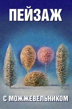 Школа изящных искусств. Пейзаж с можжевельником