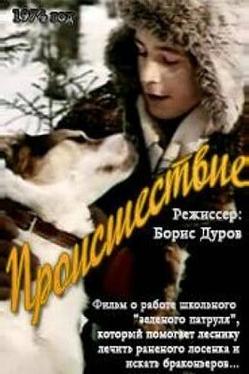 Происшествие