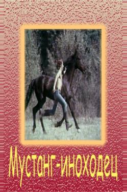 Мустанг-иноходец