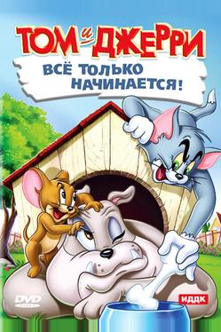 Кот играет в боулинг