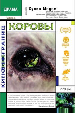 Коровы