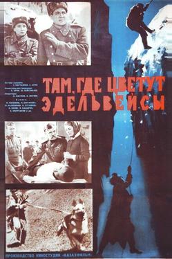 Там, где цветут эдельвейсы