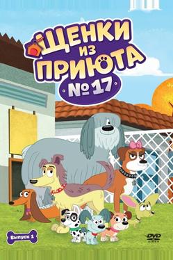 Щенки из приюта № 17