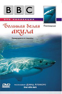 BBC: Большая белая акула
