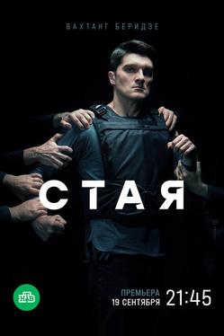 Стая