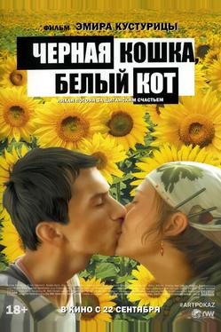 Черная кошка, белый кот